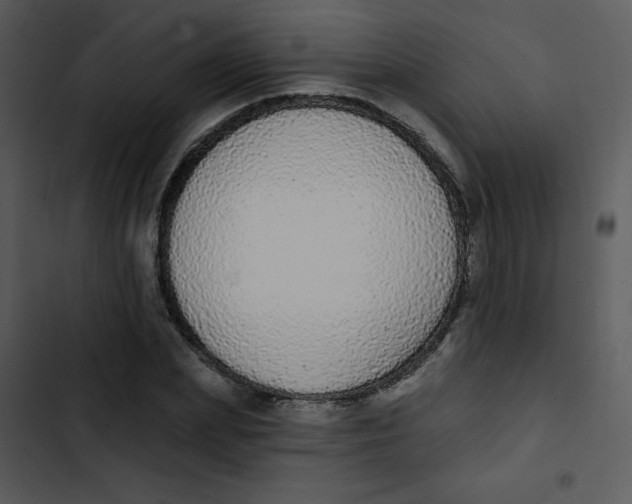 X0000102810831200809081106