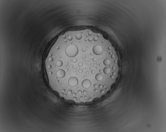 X0000102810833200809081106