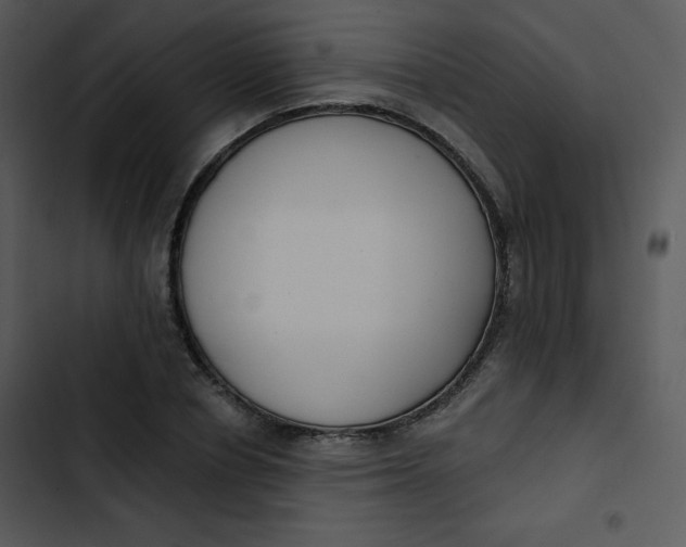 X0000102810834200809081106