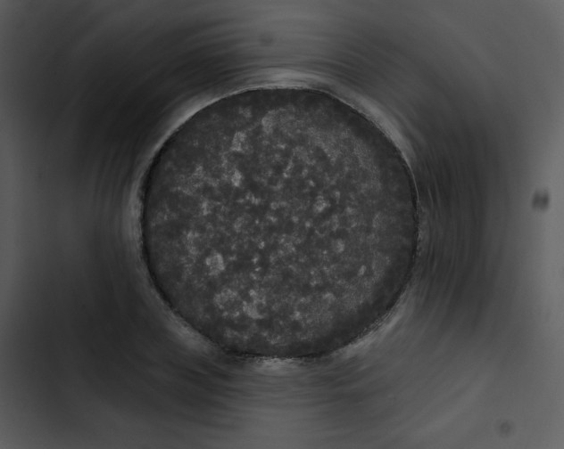 X0000102810835200809081106