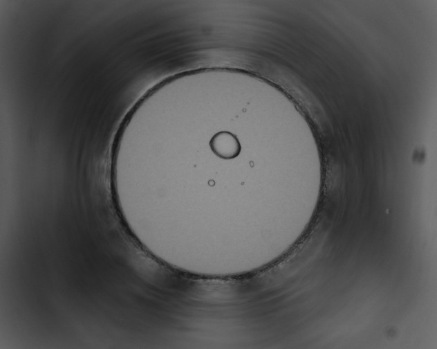 X0000102810836200809081106