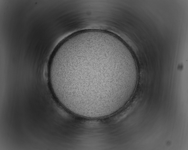 X0000102810838200809081106