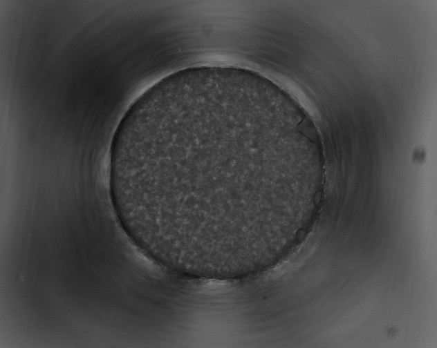 X0000102810839200809081106