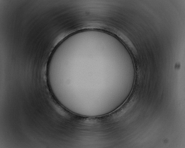 X0000102810842200809081107