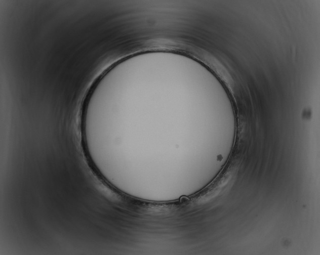 X0000102810843200809081107