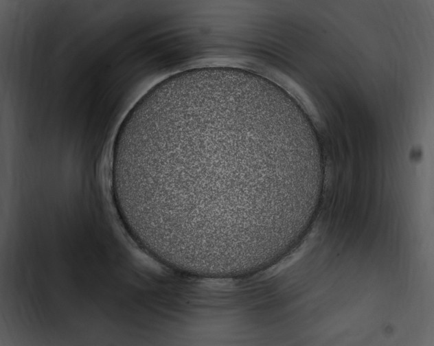 X0000102810844200809081107