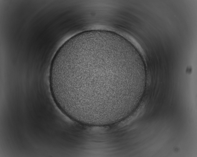 X0000102810847200809081107