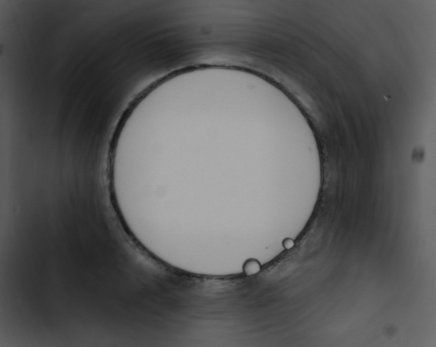 X0000102810848200809081107