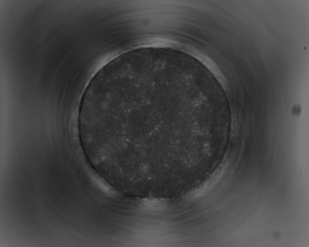 X0000102810850200809081107