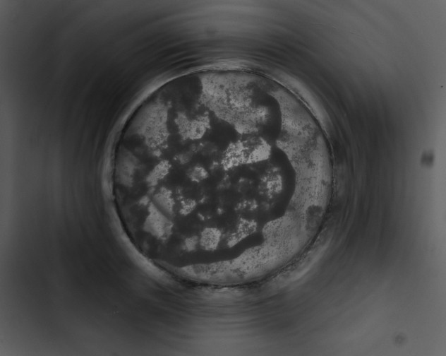 X0000102810851200809081107