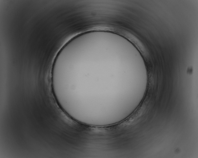 X0000102810852200809081107