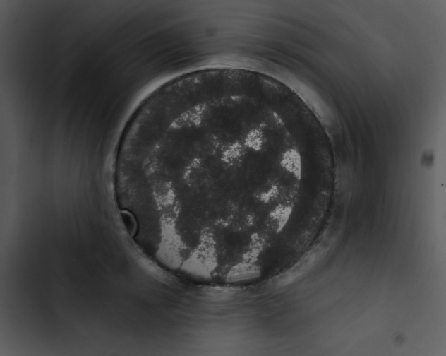 X0000102810854200809081107