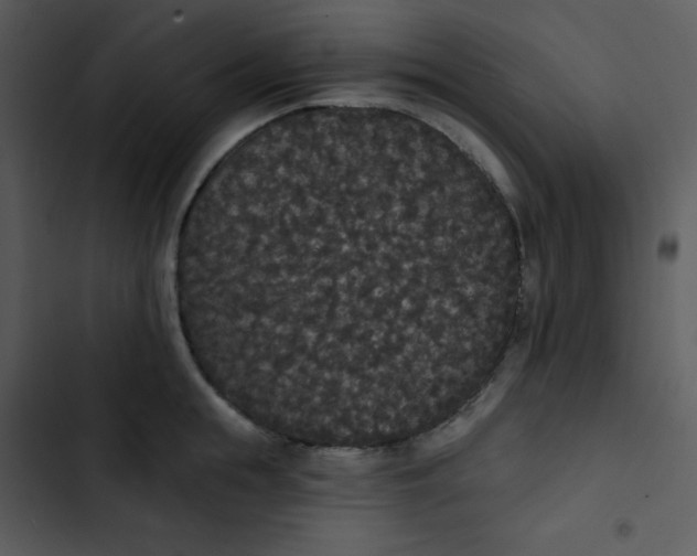 X0000102810855200809081107