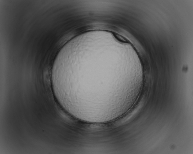 X0000102810857200809081107