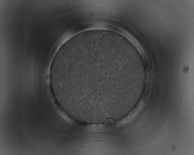 X0000102810858200809081107