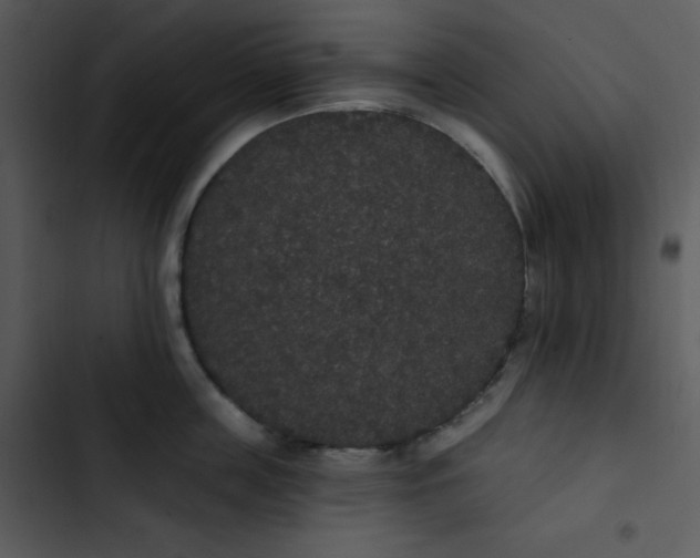 X0000102810859200809081107