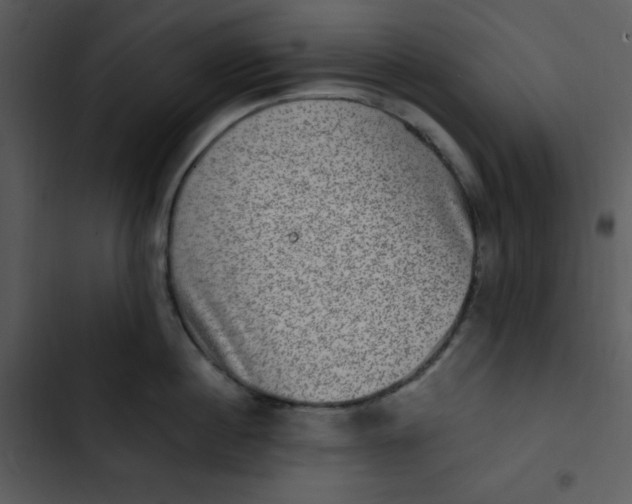 X0000102810860200809081107