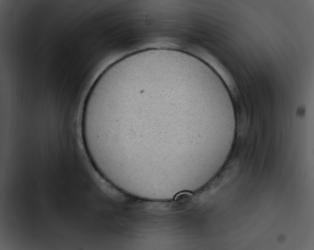 X0000102810861200809081107