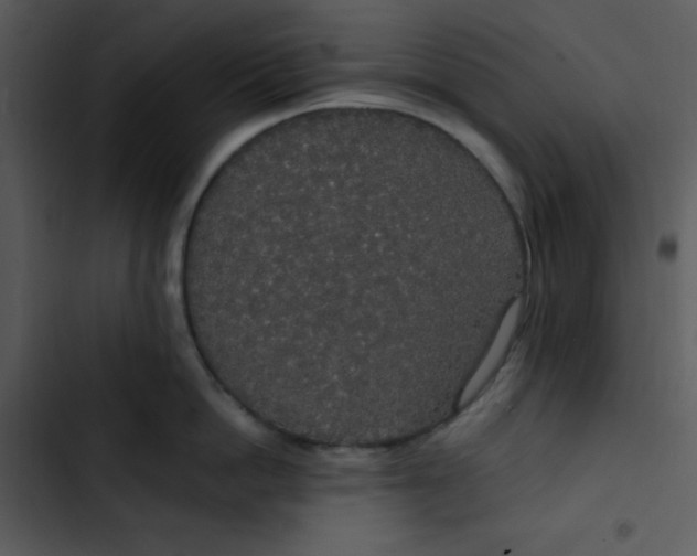 X0000102810862200809081107