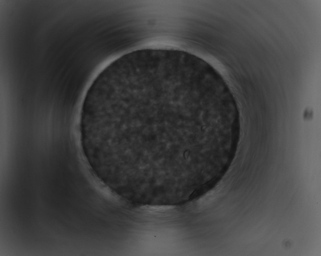 X0000102810864200809081107