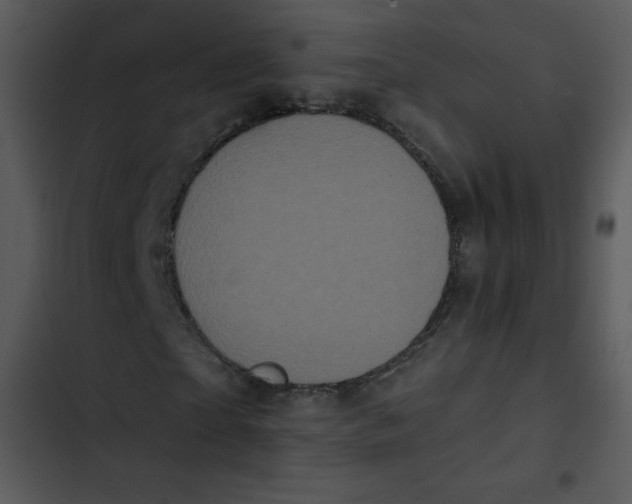 X0000102810865200809081106