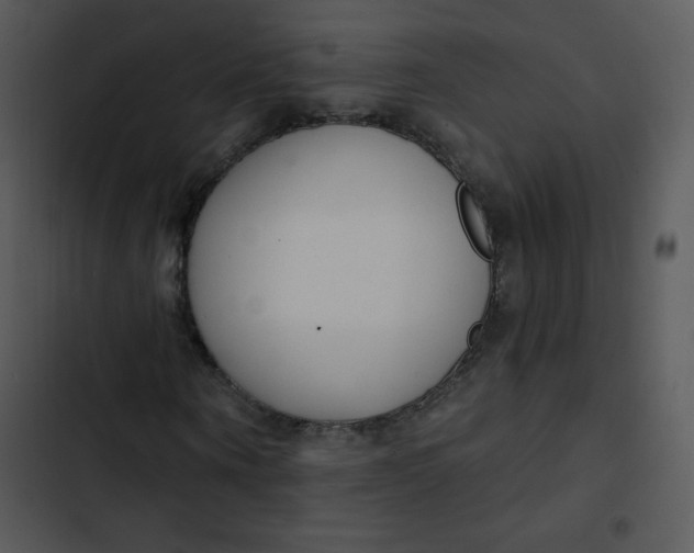 X0000102810866200809081106