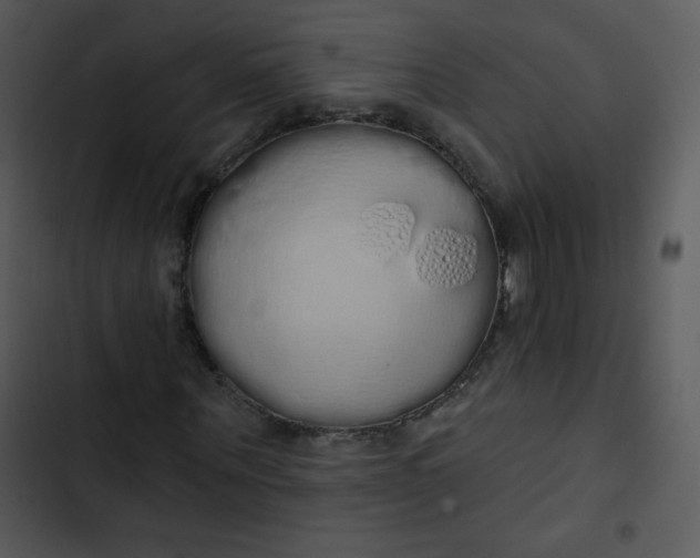 X0000102810867200809081106