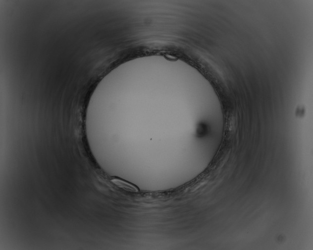 X0000102810868200809081106