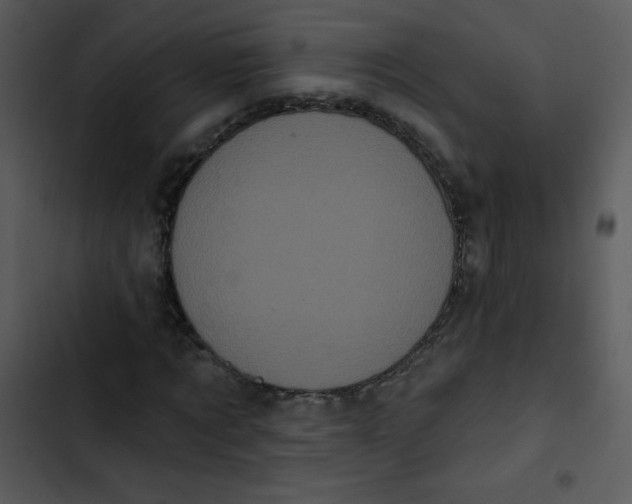 X0000102810869200809081106