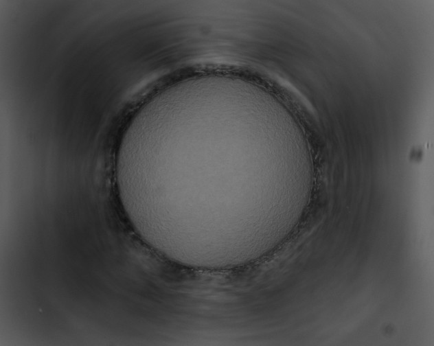 X0000102810870200809081106