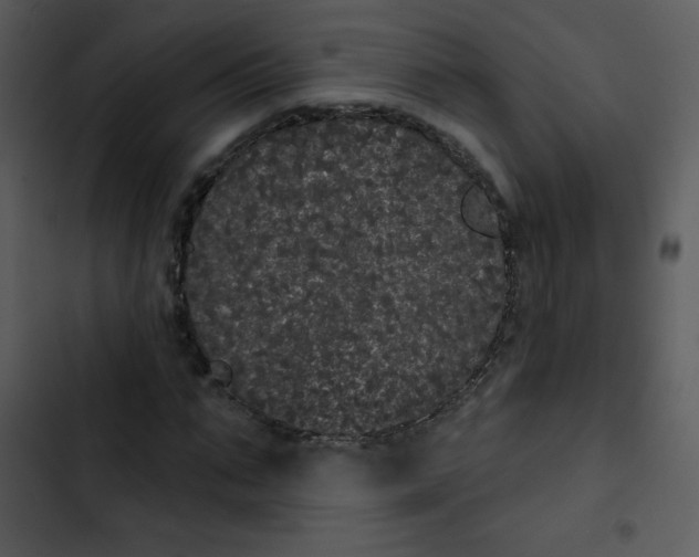 X0000102810871200809081106