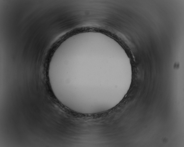 X0000102810872200809081106