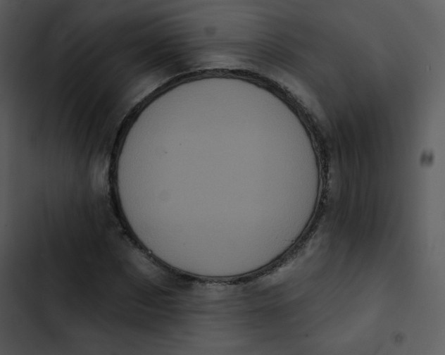 X0000102810873200809081106