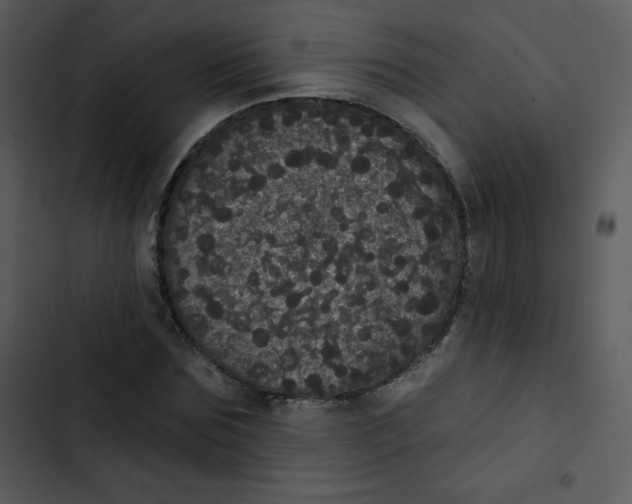 X0000102810875200809081106