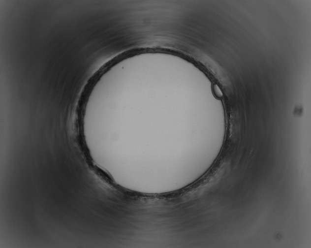 X0000102810876200809081106