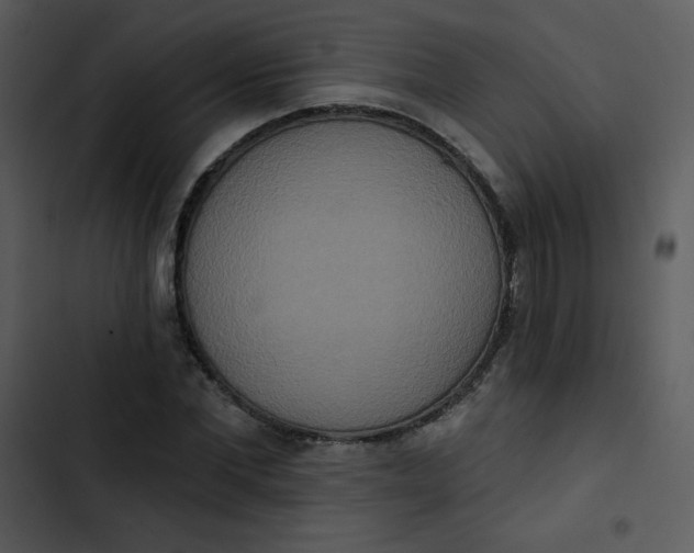 X0000102810877200809081106