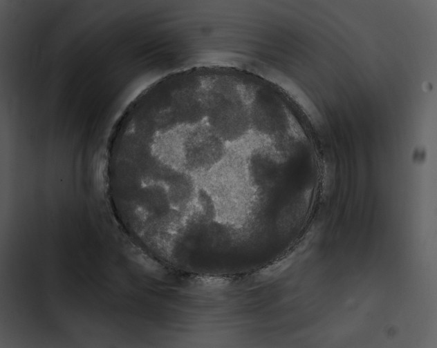 X0000102810878200809081106