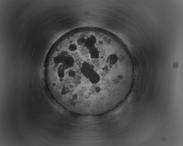 X0000102810879200809081106