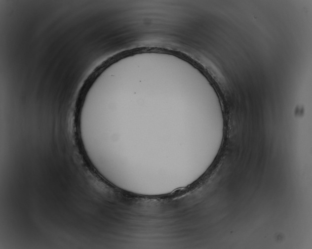 X0000102810880200809081106