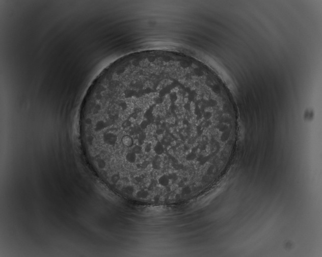 X0000102810883200809081106