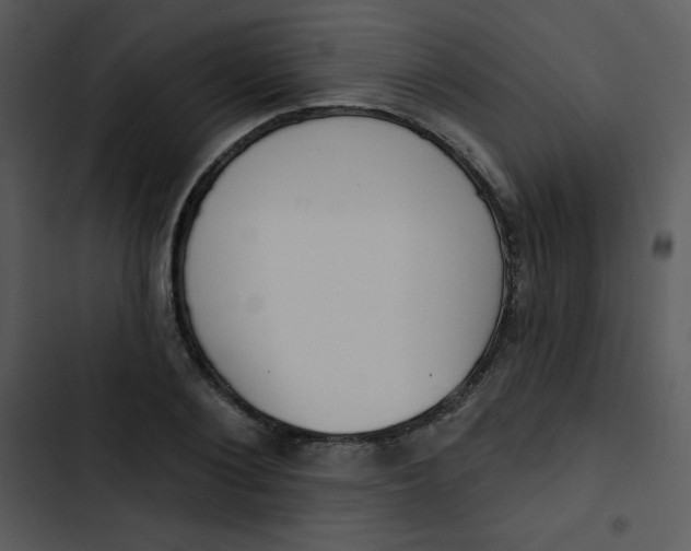 X0000102810884200809081106