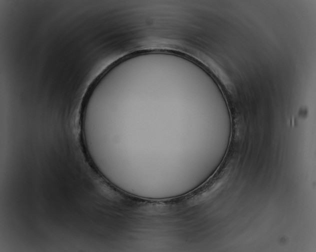 X0000102810885200809081106