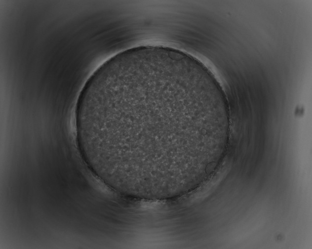 X0000102810887200809081106