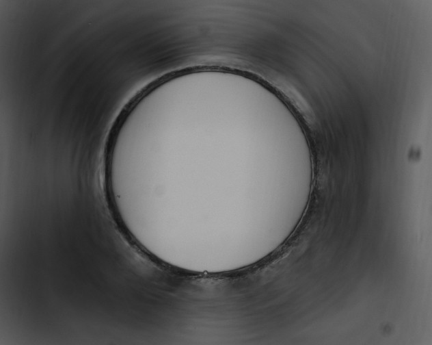 X0000102810888200809081106