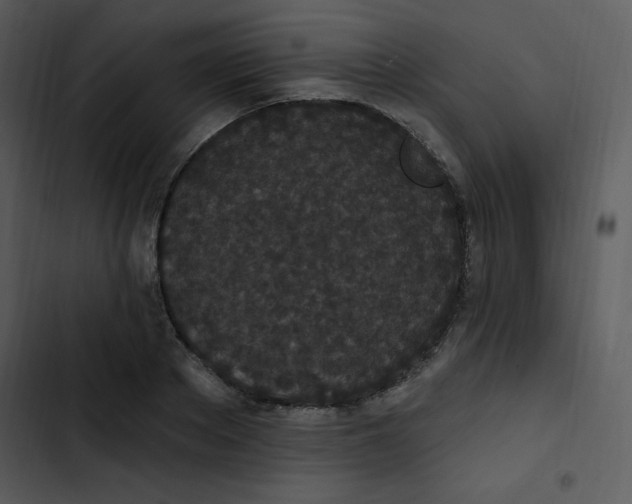 X0000102810889200809081106