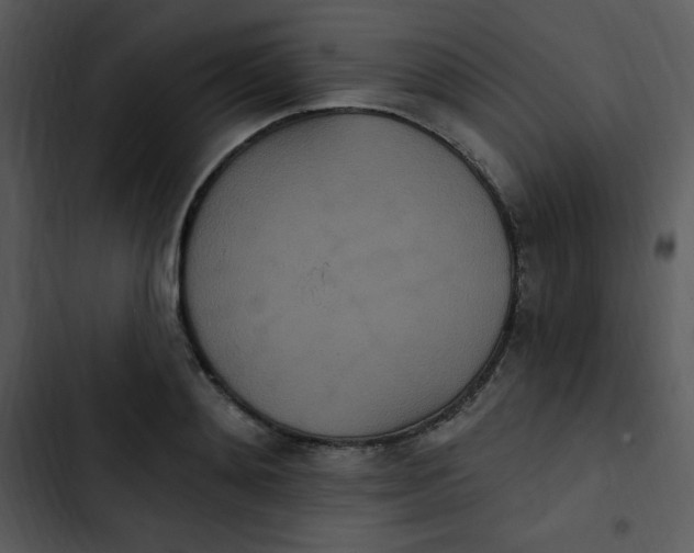 X0000102810892200809081106