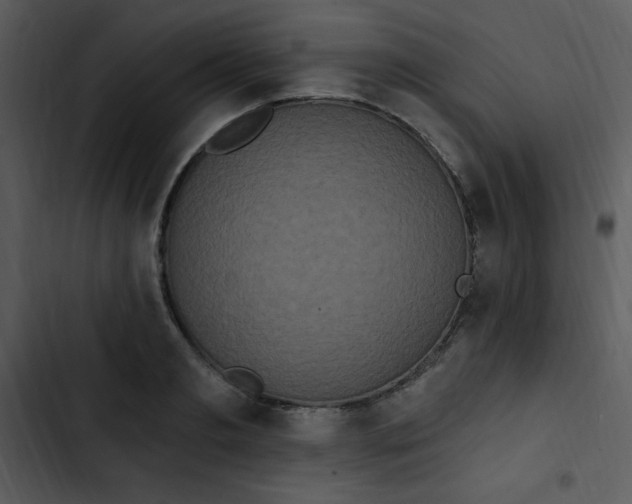 X0000102810893200809081106