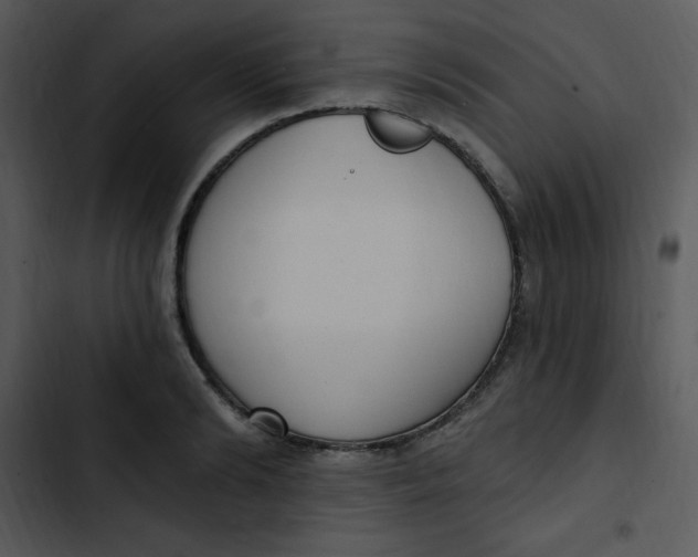 X0000102810894200809081106