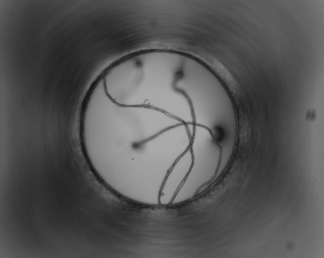 X0000102810896200809081106