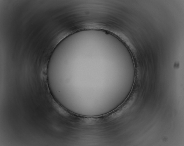 X0000102810897200809081106